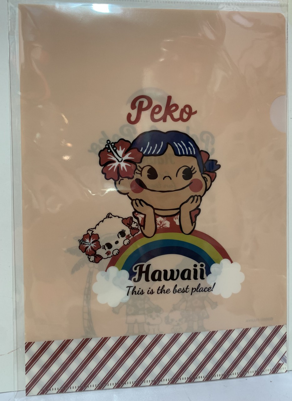 2020 Peko A5文件夾-Hawaii (C)
