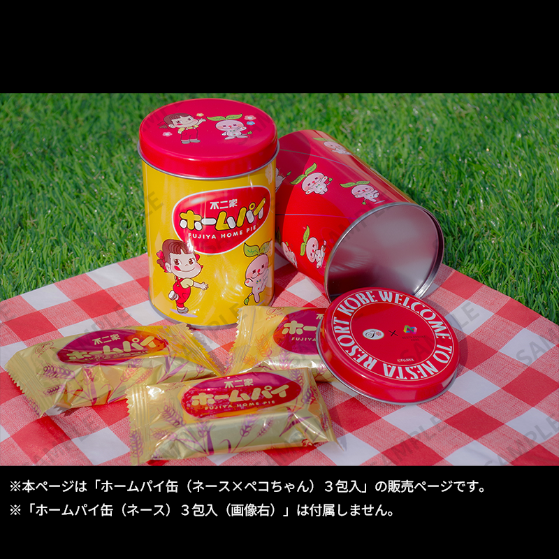 ...2025 Peko x  Naess 鐵缶 (C)